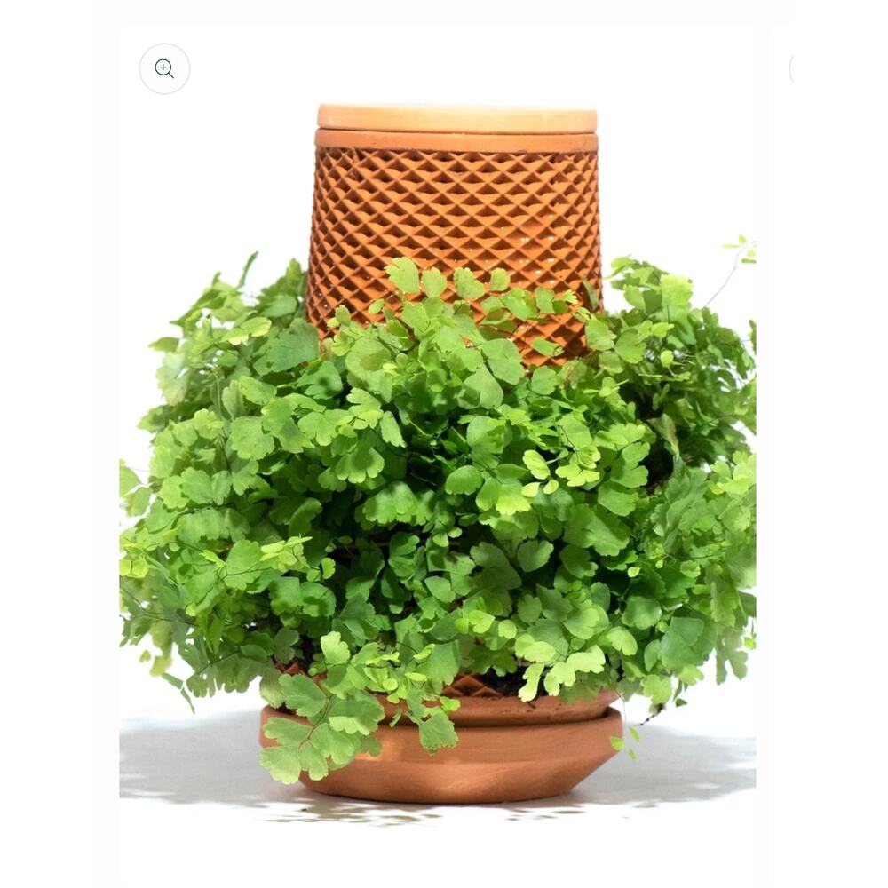Teva self watering planter soil free terracotta orchids ferns 8.5” indoor garden